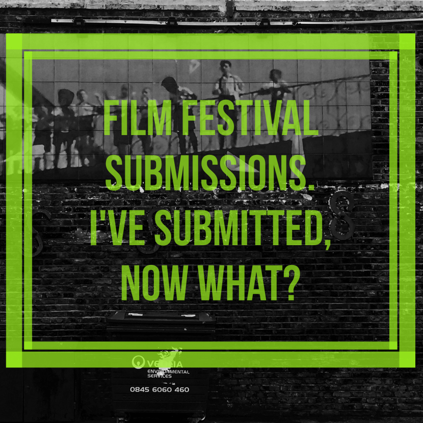 film festival submissions