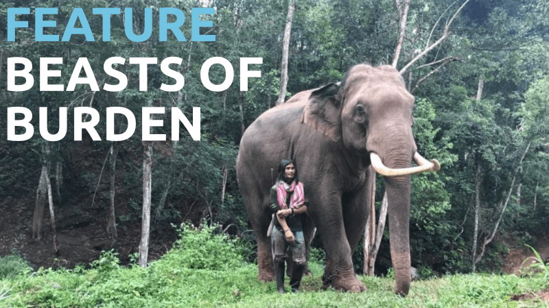 Sydney Lift-Off Film Festival 2018 - Beasts of Burden