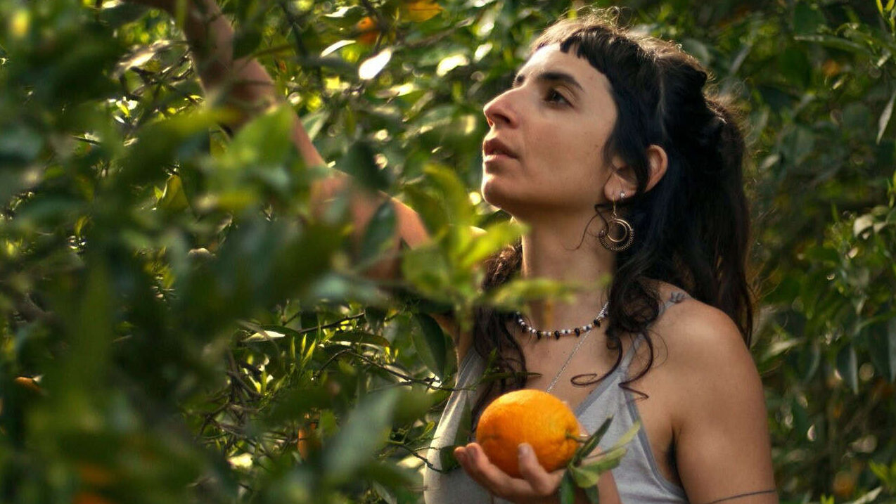 lowres_export_2024_01_02_48_00