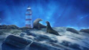 Sea lions on rocks with lighthouse in background, under a starry night sky, representing community and connection.