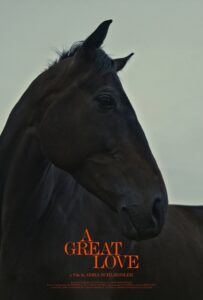 Elegant dark horse head portrait, symbolising strength and connection in the Lift-Off Global Network.